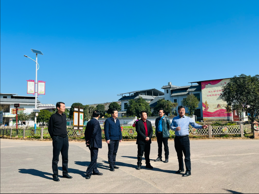 全国商报联权工委调研永兴县湘阴渡街道