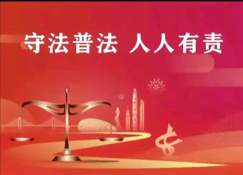 业主监督委员会主任越权行为的法律定性与治理路径探析——以某小区监督委员会主任履职争议为例