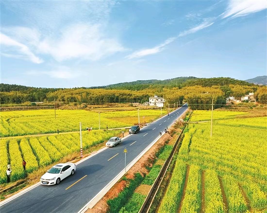 农村公路条例