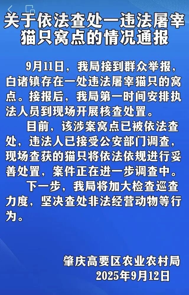 广东一地查处违法屠宰猫只窝点，情况通报：已被依法查处，违法人已接受公安部门调查