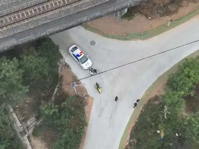 63岁男子上山伐木后失联,15岁儿子紧急报警,称曾接到微信视频求助“身体不舒服,快要晕倒”