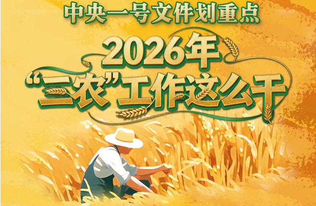 中央一号文件划重点，2026年“三农”工作这么干